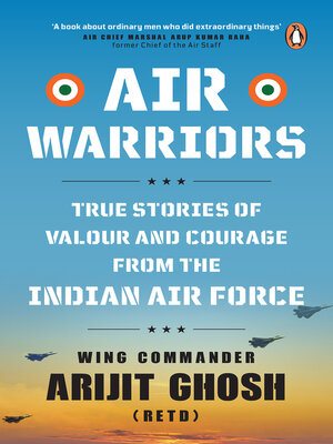 cover image of Air Warriors